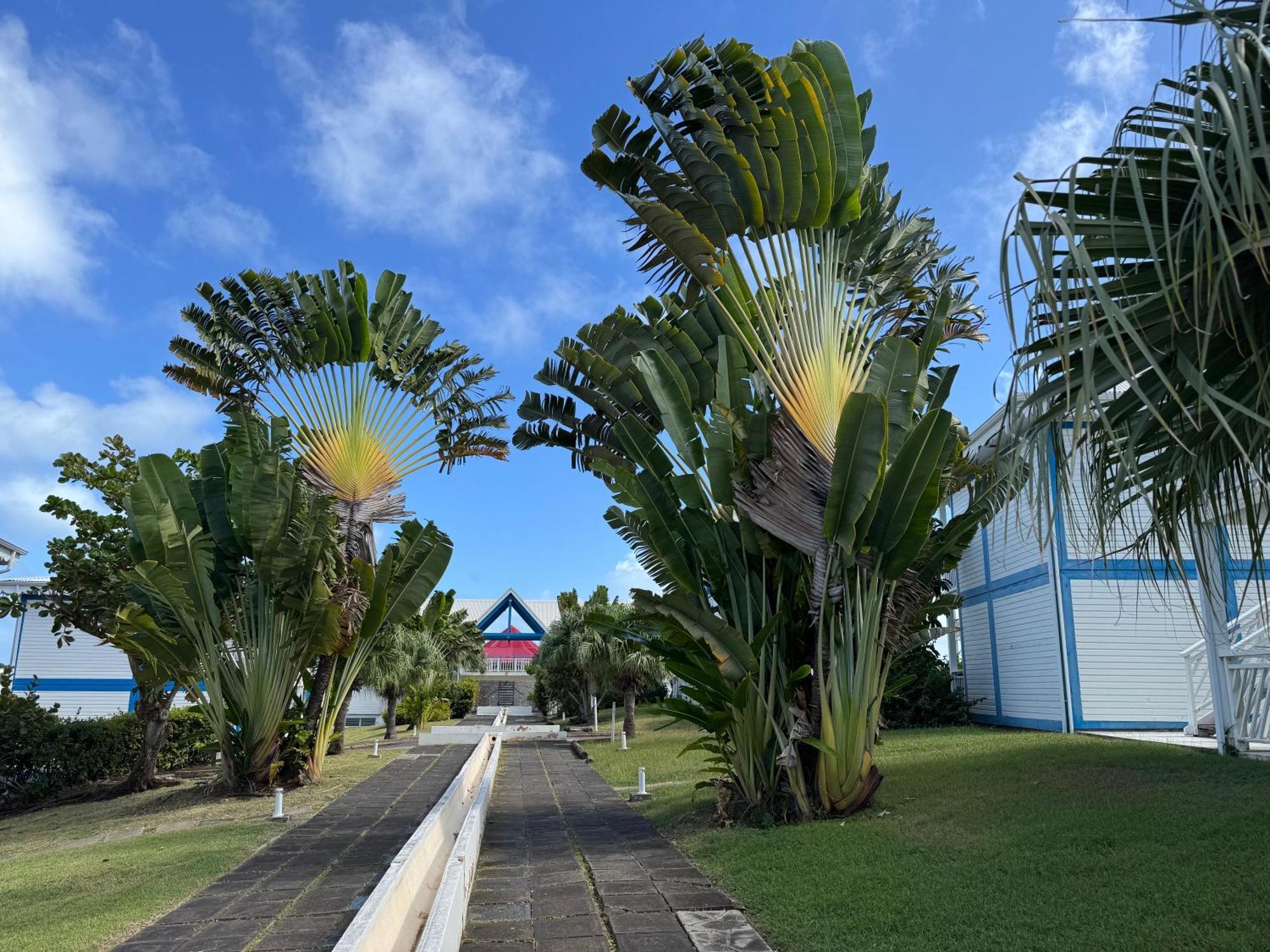Ticarbets T3 - Residence Manganao - En Bord De Plage サン・フランソワ エクステリア 写真